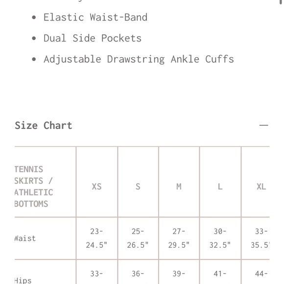 Gold Hinge Gray Parachute Cargo Pants - Picture 5 of 5